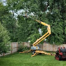 Leaf Removal in Fiskdale, MA