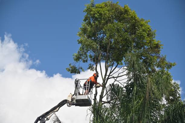 Best Weed Control  in Fiskdale, MA